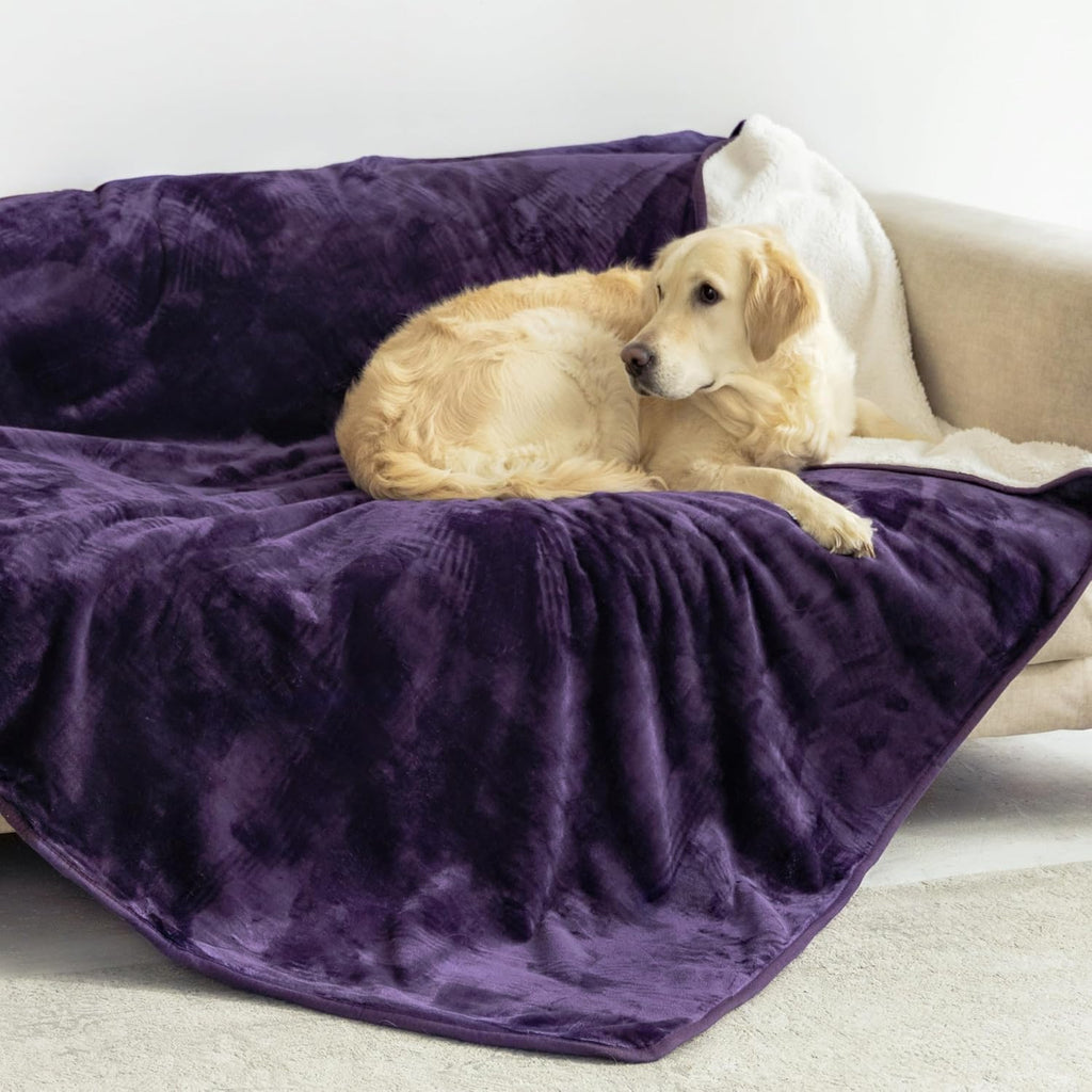 Waterproof Pet Blanket |3-Layer Warmth & Spill-Proof Protection