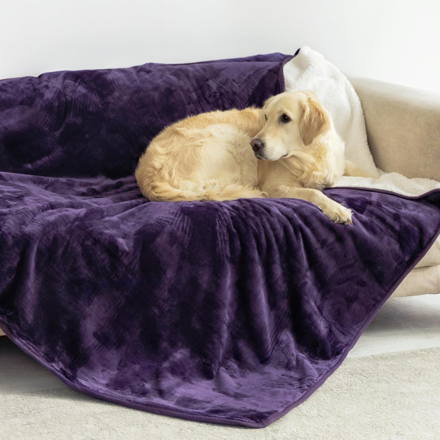 Waterproof Pet Blanket |3-Layer Warmth & Spill-Proof Protection