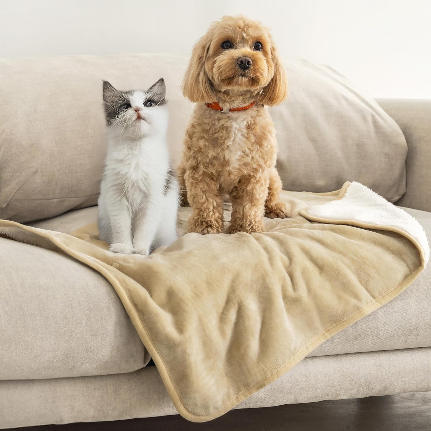 Waterproof Pet Blanket |3-Layer Warmth & Spill-Proof Protection