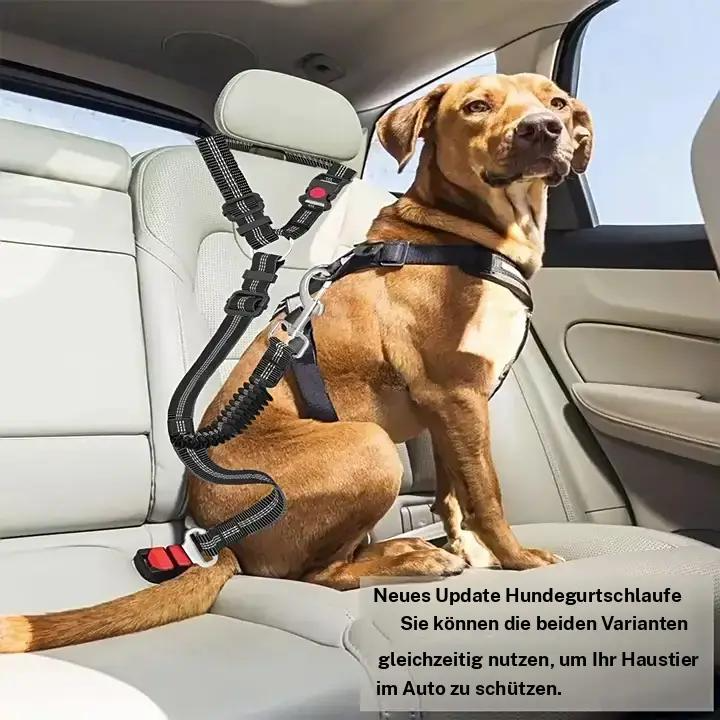2-in-1 Dog Leash & Car Seat Belt Safty Tether