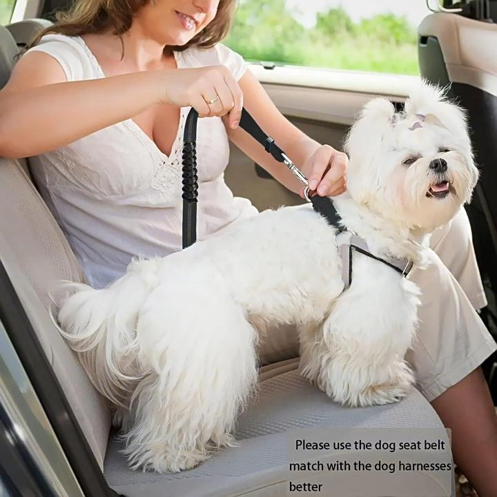2-in-1 Dog Leash & Car Seat Belt Safty Tether
