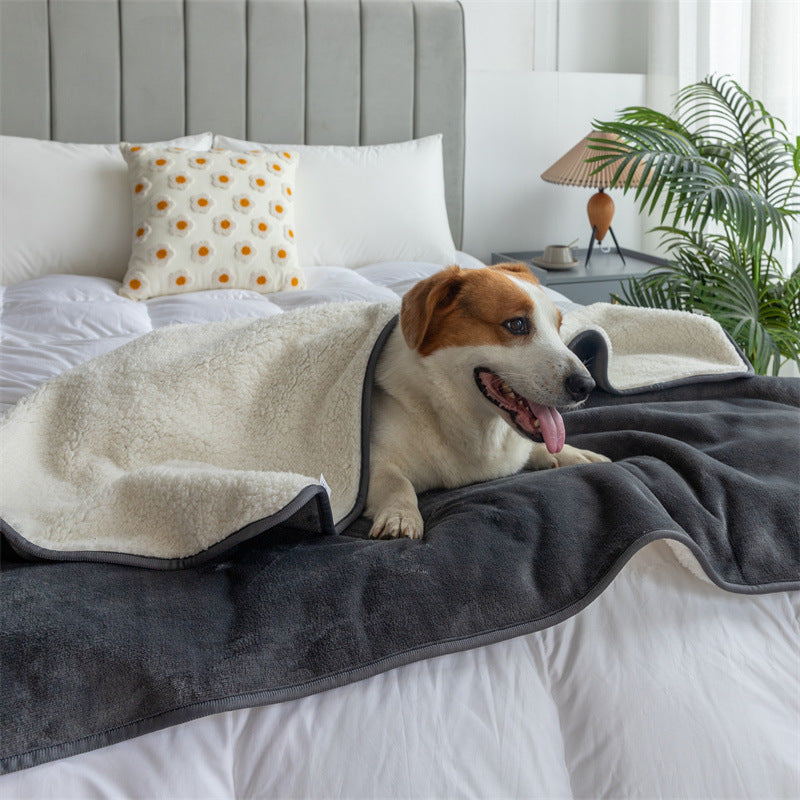 Waterproof Pet Blanket |3-Layer Warmth & Spill-Proof Protection