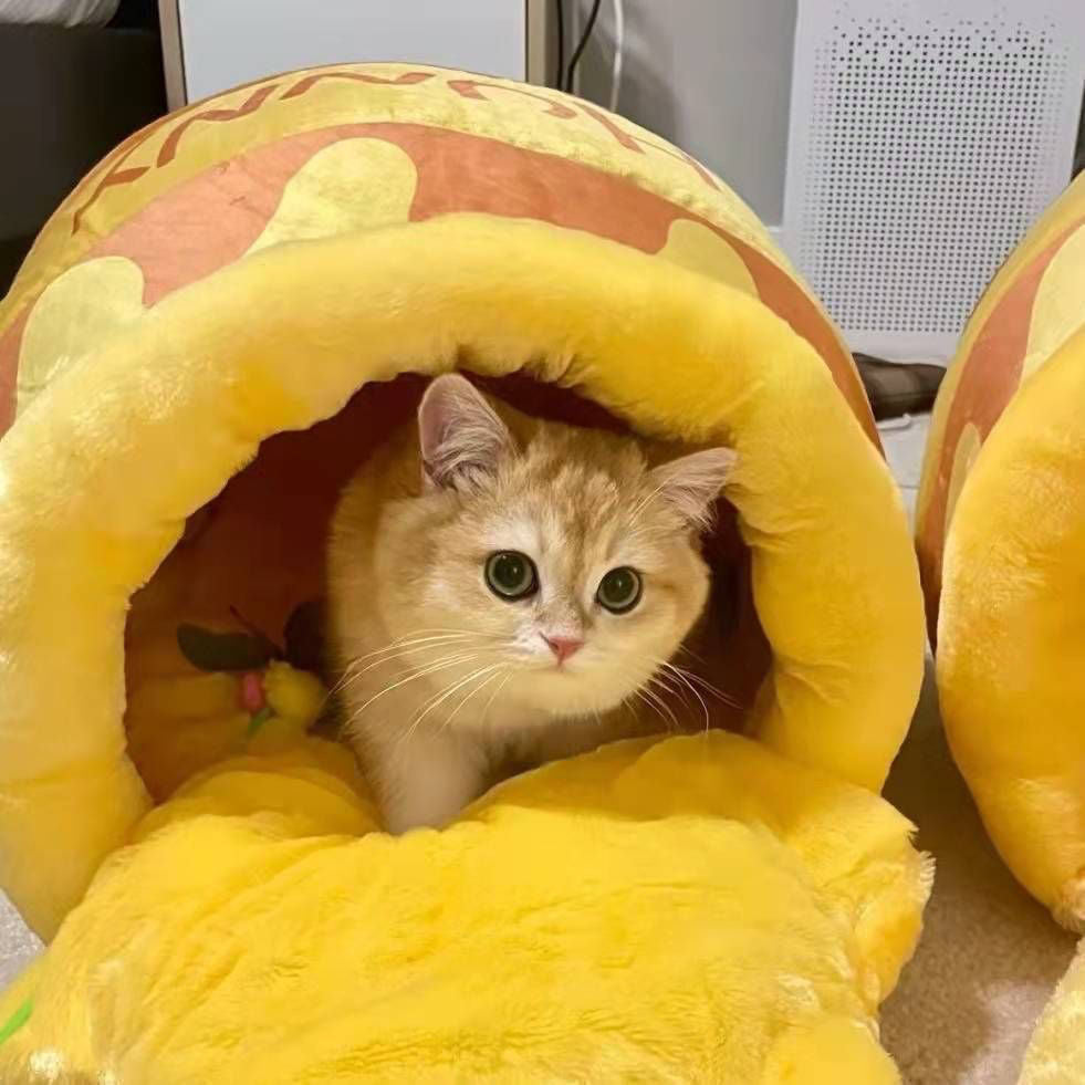Adorable Honey Pot Cat Bed